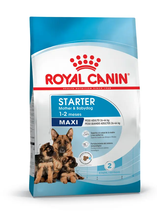 STARTER MAXI X 10 KG (ROYAL CANIN)