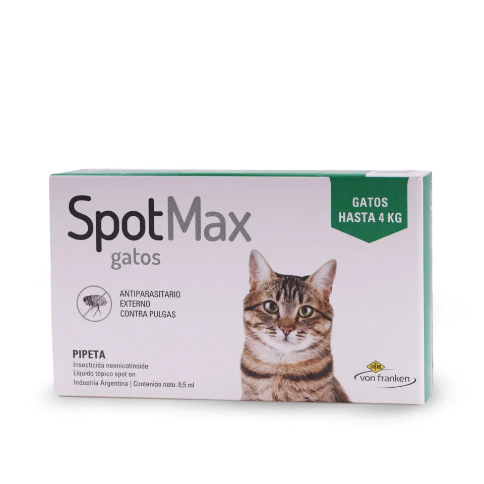 SPOTMAX GATO DE 00 A 04 KG