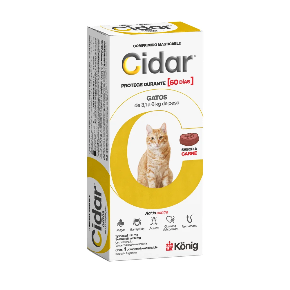 CIDAR GATO DE 3 A 6 KG