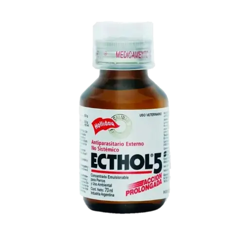 [1621] ECTHOL 5 X 070 ML