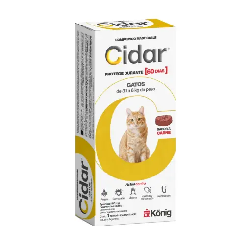 CIDAR GATO DE 3 A 6 KG